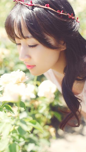 凤凰台上电视剧免费观看