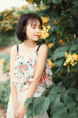 安家电视剧全集免费观看