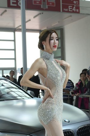 汪汪队立大功全集免费